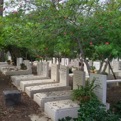 בית עלמין חצר כנרת